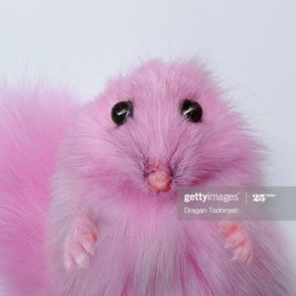 Meet your Posher, Pee